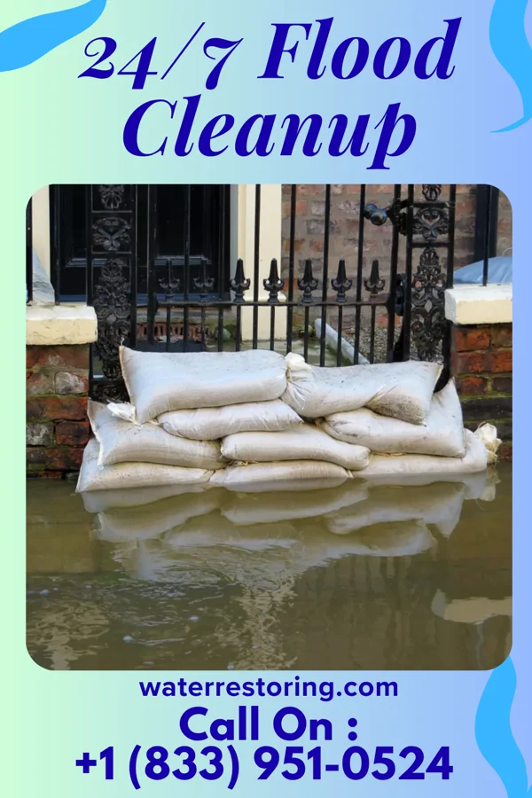 24/7 Flood Cleanup in Alpine Village, CA