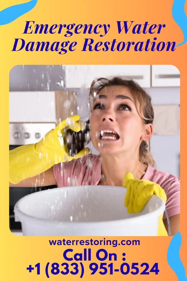Emergency Water Damage Restoration in Alpine Village, CA